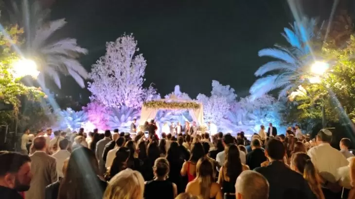 תמונה מספר 5