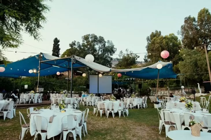 תמונה מספר 5