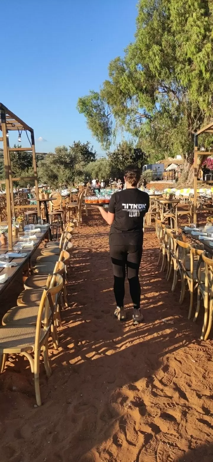 תמונה מספר 2