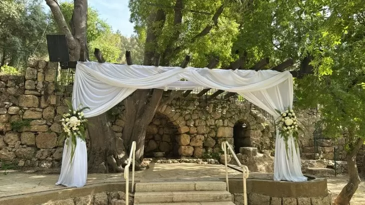 תמונה מספר 2