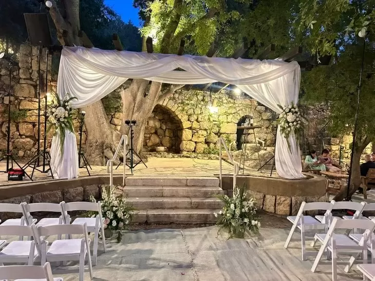 תמונה מספר 6