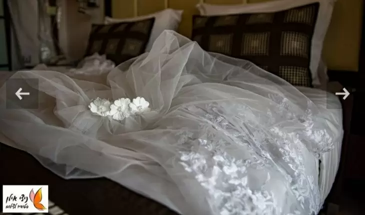 תמונה מספר 5