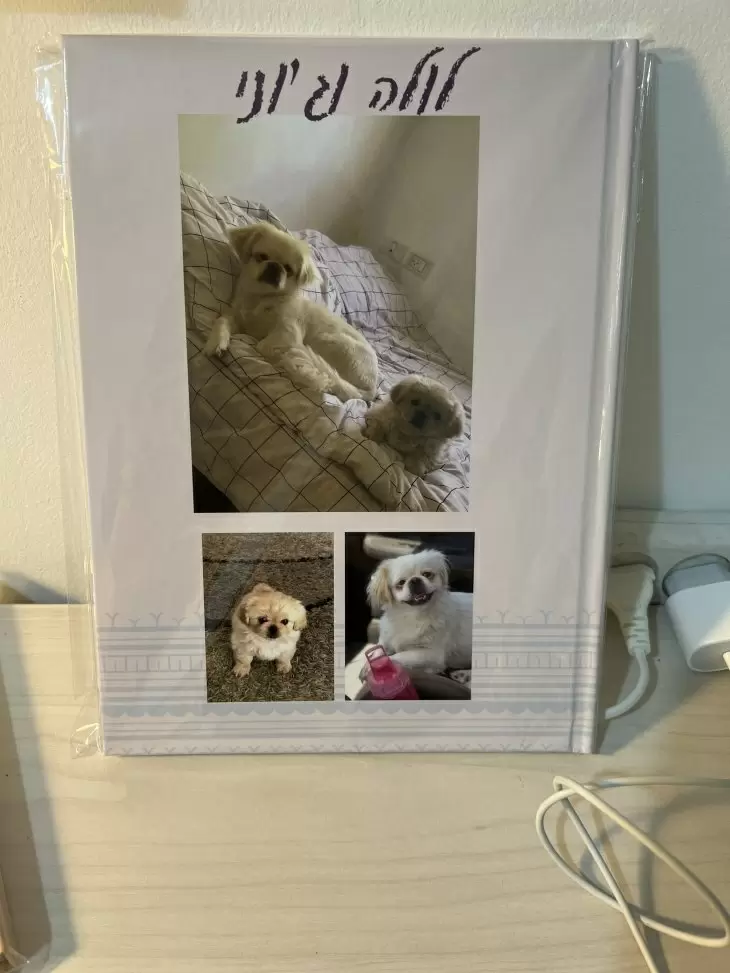 review gallery