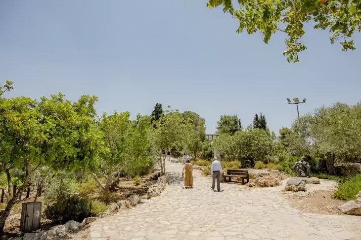 תמונה מספר 4