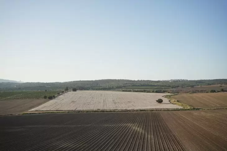 תמונה מספר 1