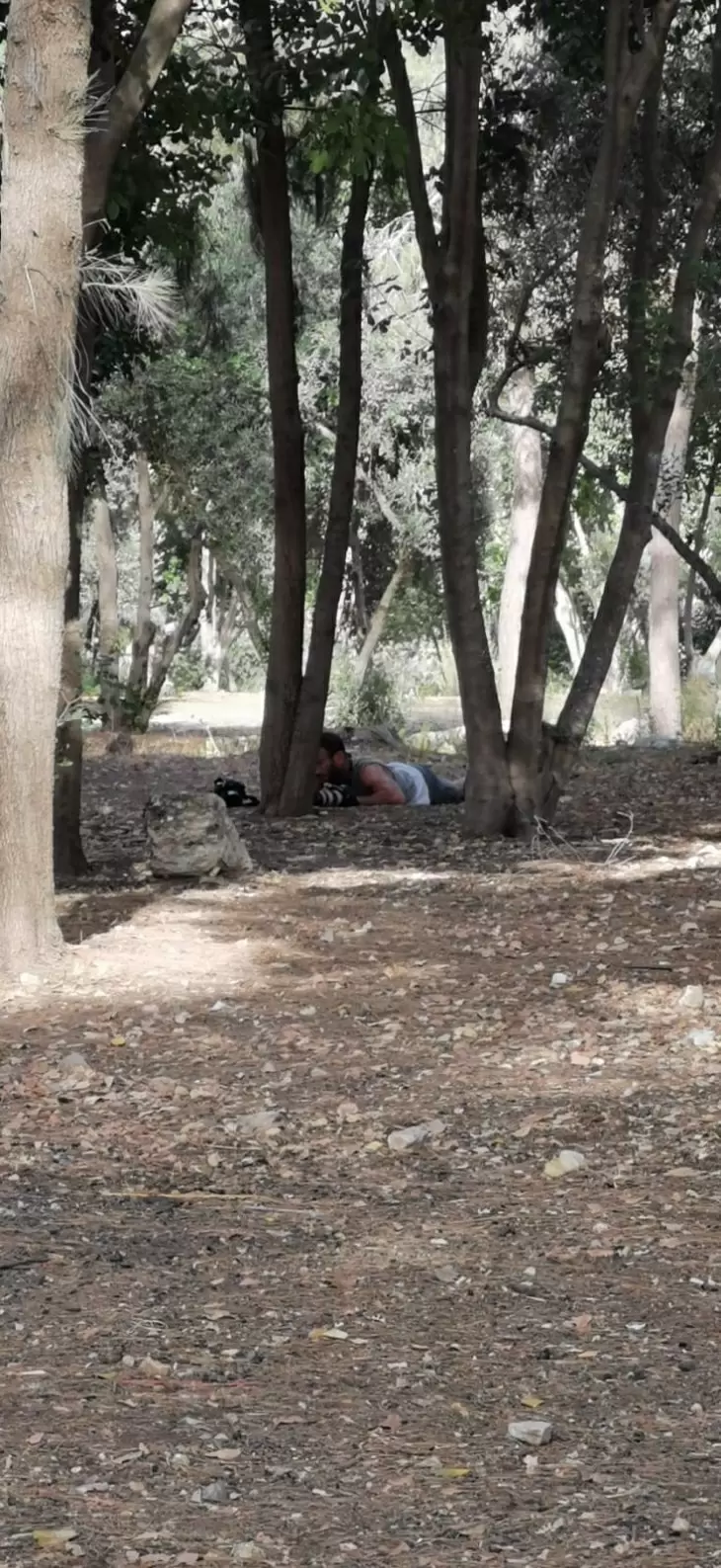 תמונה מספר 5