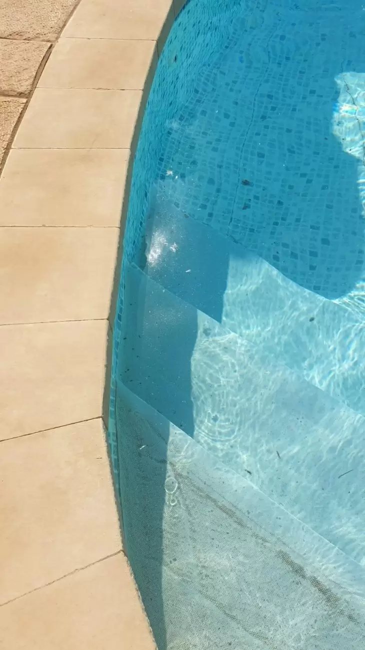 תמונה מספר 1