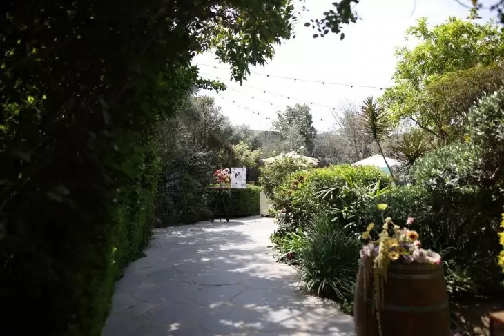 תמונה מספר 2