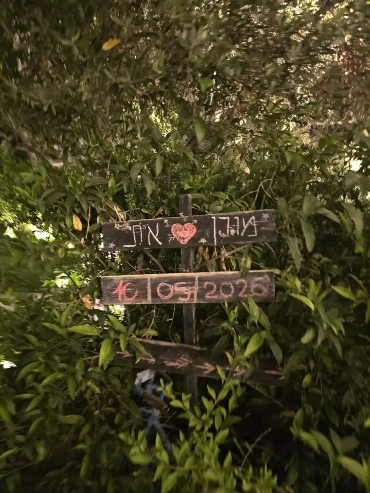תמונה מספר 9