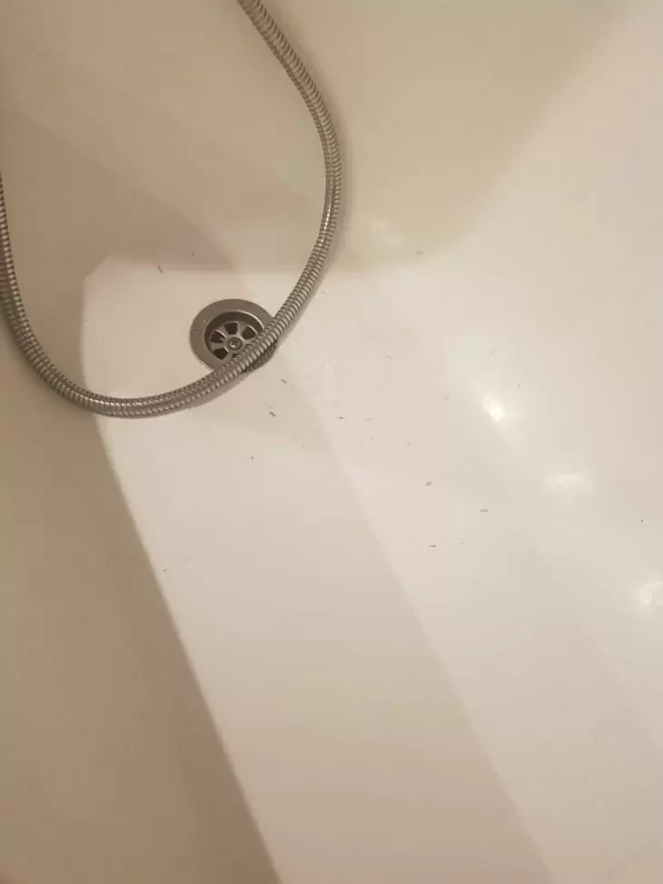 תמונה מספר 1
