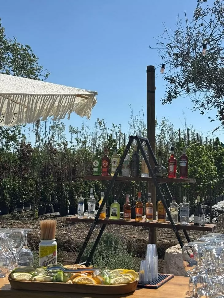 תמונה מספר 4
