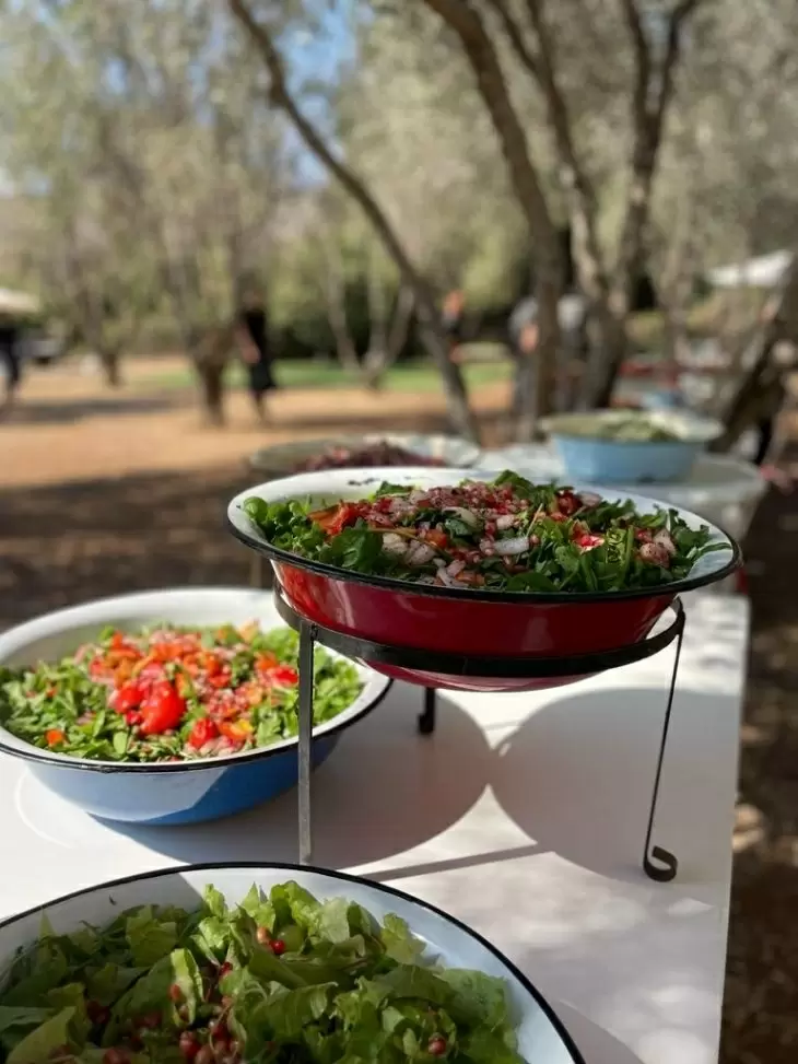 תמונה מספר 1