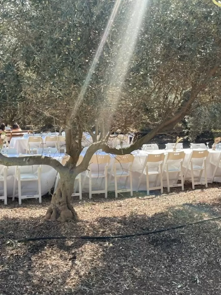 תמונה מספר 2