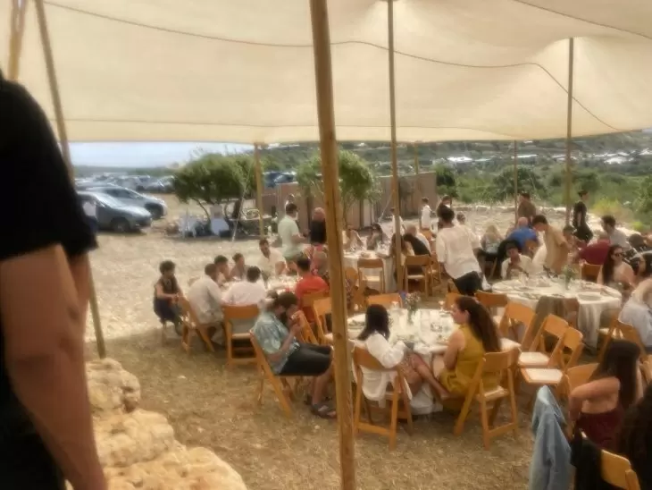 תמונה מספר 7
