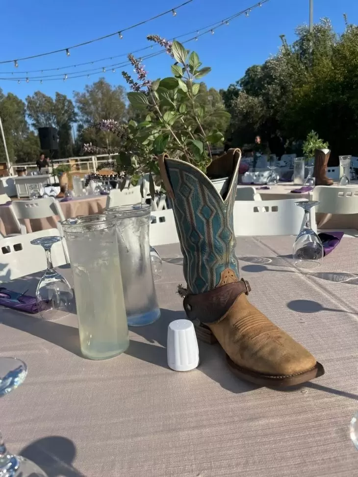 תמונה מספר 2