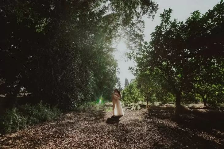 תמונה מספר 5