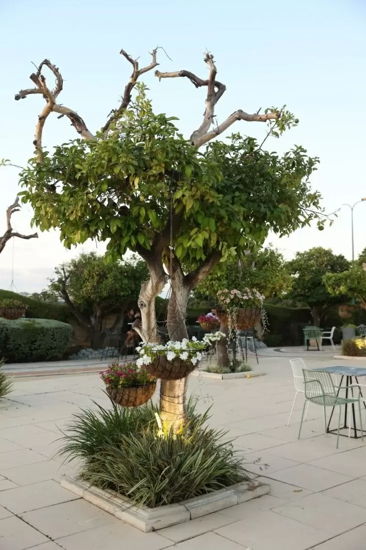 תמונה מספר 4