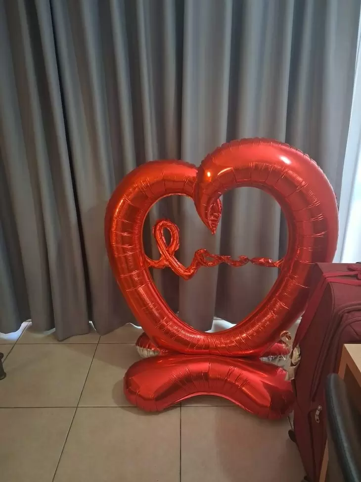 תמונה מספר 3