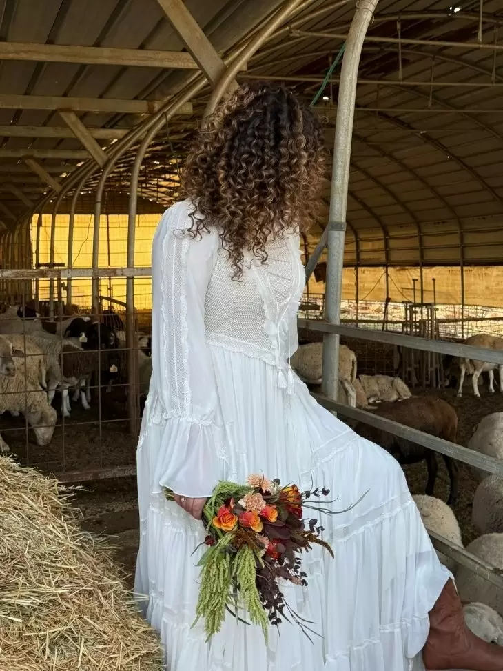 תמונה מספר 1