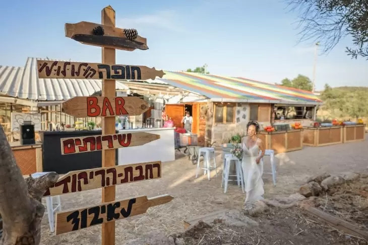 תמונה מספר 3