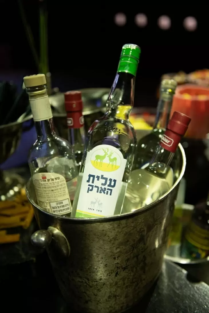 תמונה מספר 9