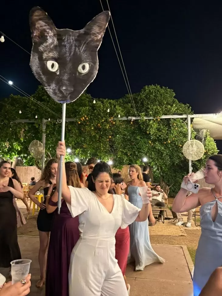תמונה מספר 3