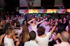 תמונה 5 של קואלה DJ