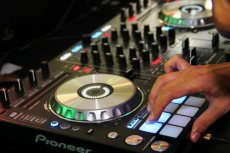 תמונה 8 של קואלה DJ