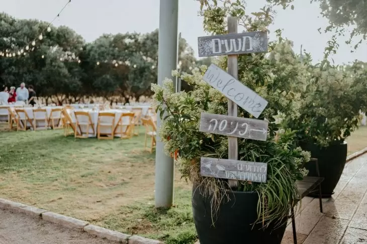 תמונה מספר 6