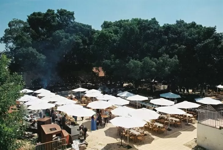 תמונה מספר 3