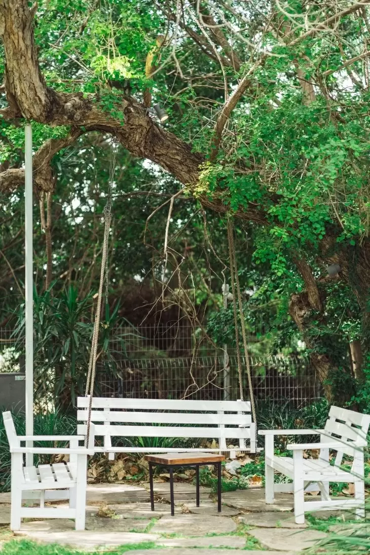 תמונה מספר 3