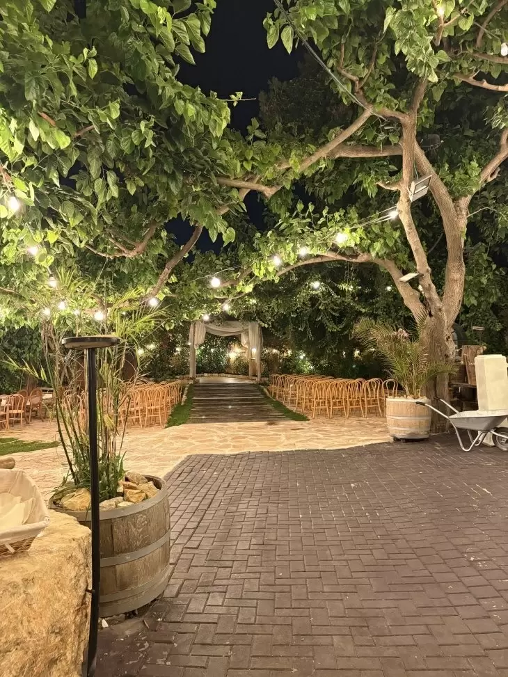 תמונה מספר 2