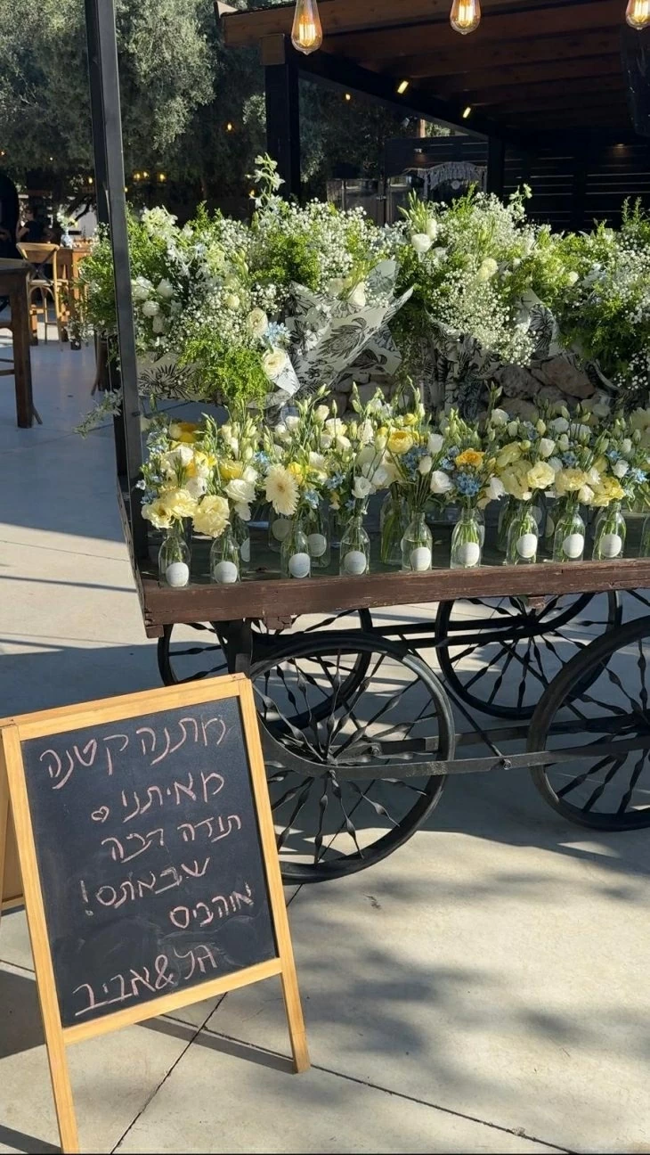 תמונה מספר 2