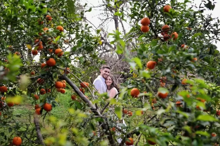 תמונה מספר 2