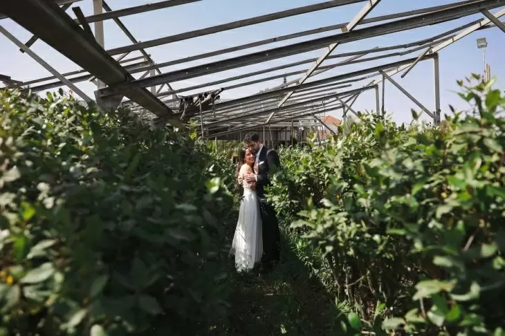 תמונה מספר 1