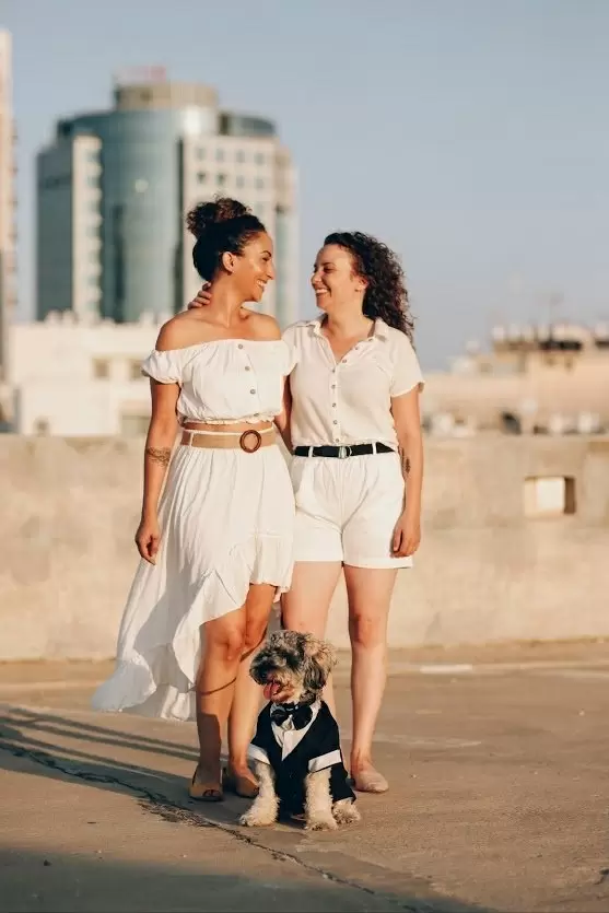 תמונה מספר 1