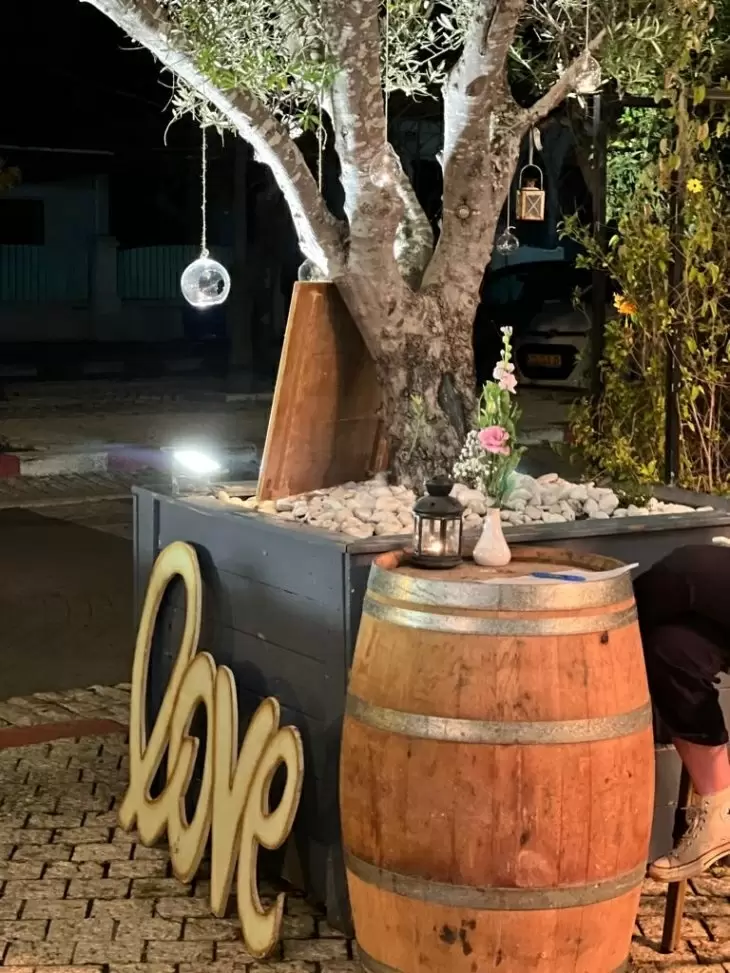 תמונה מספר 4