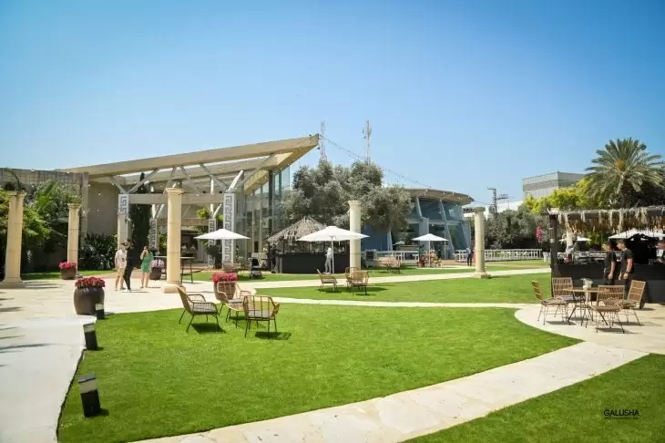 תמונה מספר 4