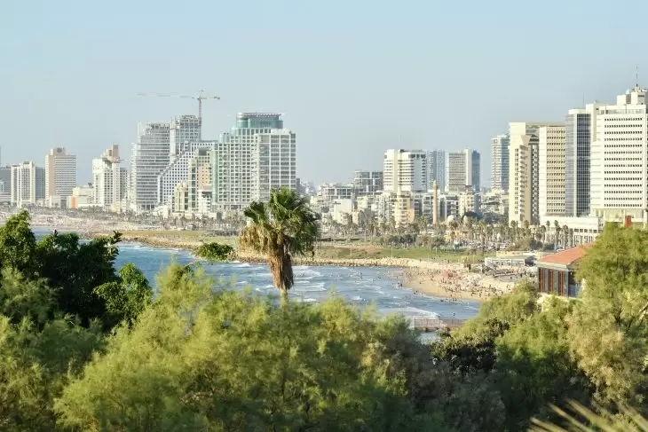 תמונה מספר 8