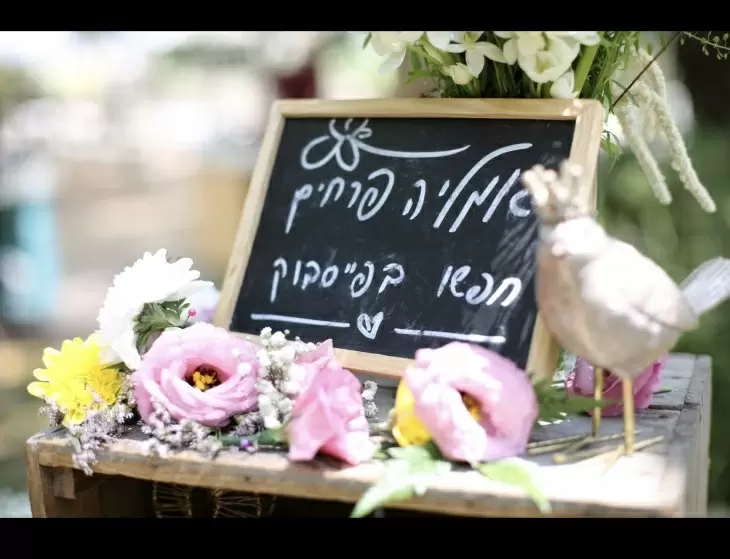 תמונה מספר 9