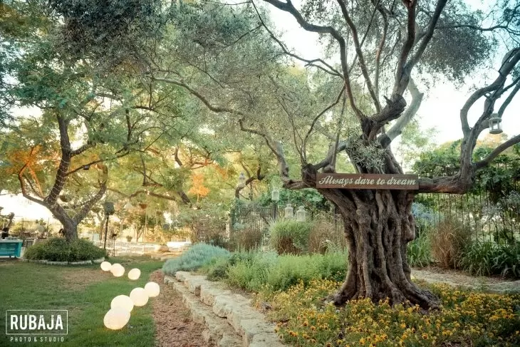 תמונה מספר 3