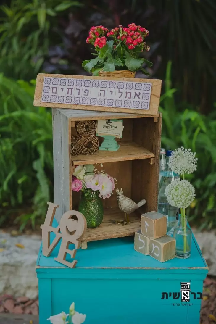 תמונה מספר 8
