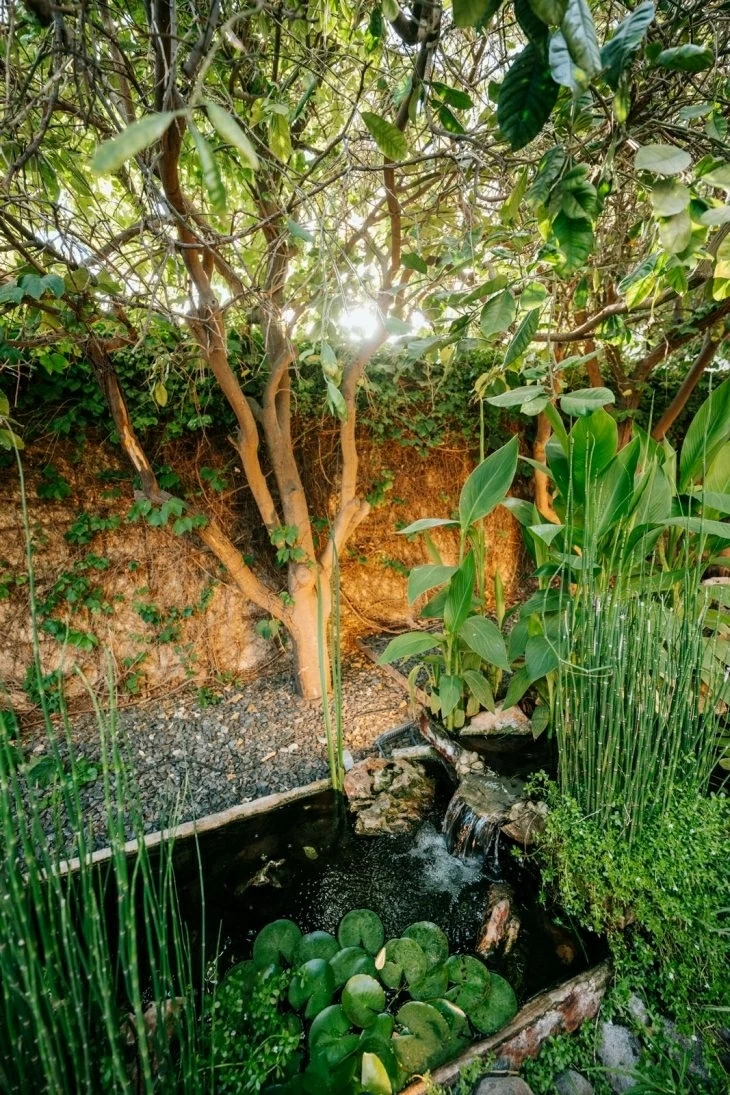 review gallery