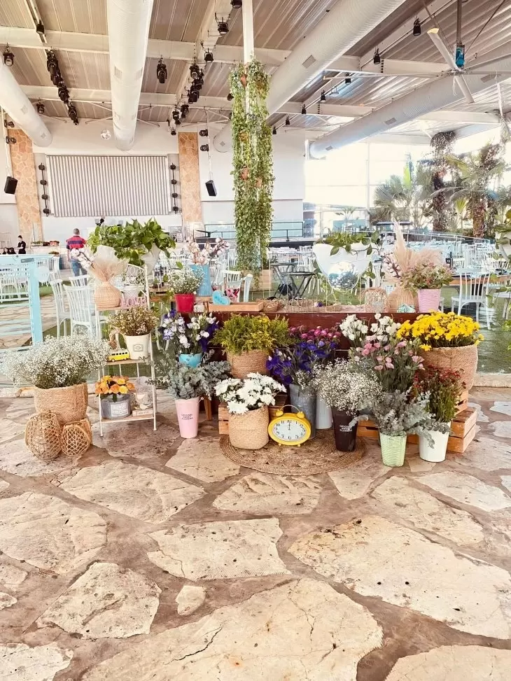 תמונה מספר 3