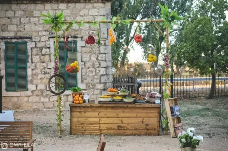 תמונה מספר 4