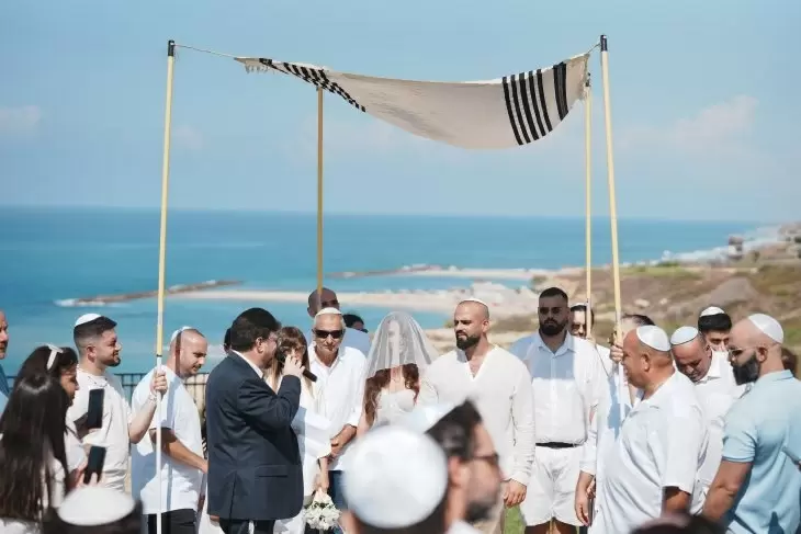 תמונה מספר 8