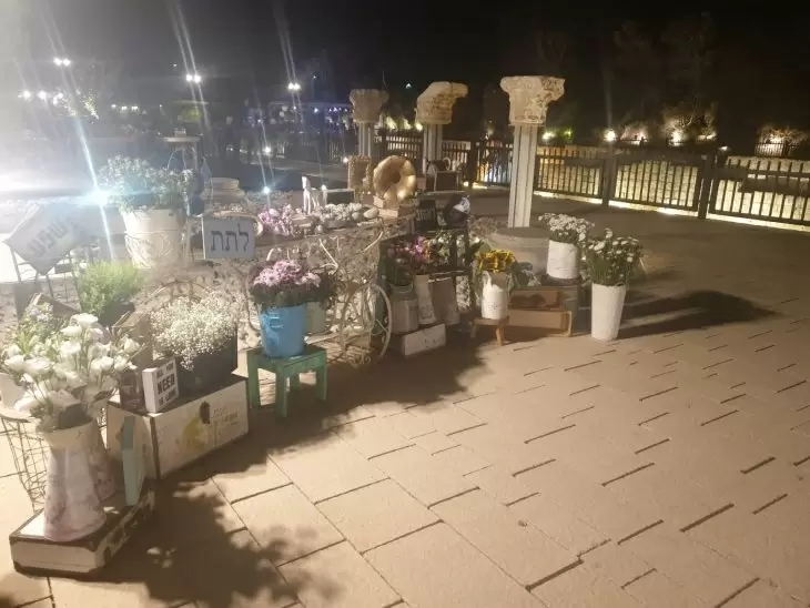 תמונה מספר 1