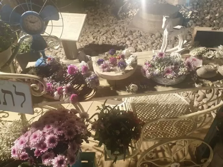 תמונה מספר 3