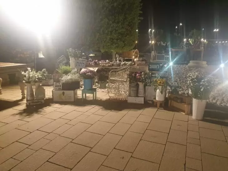 תמונה מספר 4