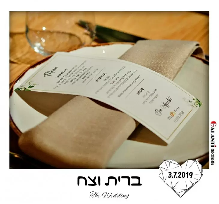 תמונה מספר 1